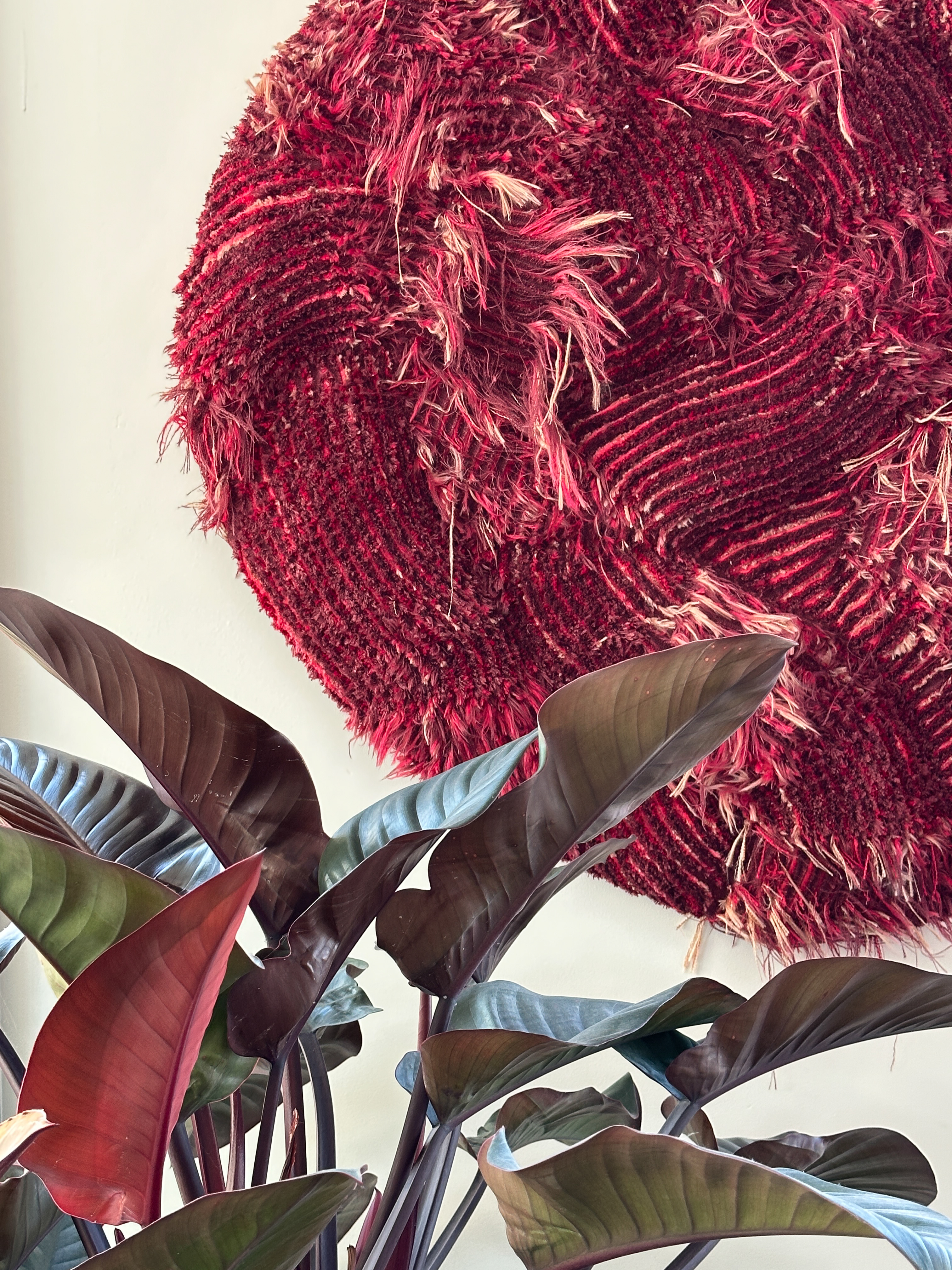 Liesbet Braeckman — Work 8