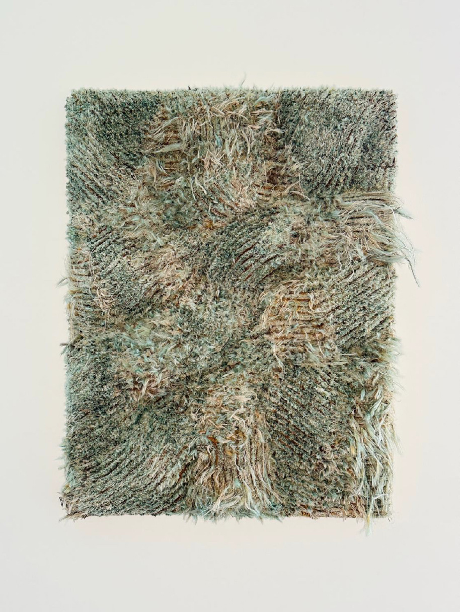 Liesbet Braeckman — Work 17